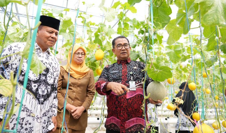 Pj Gubernur Panen Perdana Melon Hidroponik di SMAN 5 Samarinda