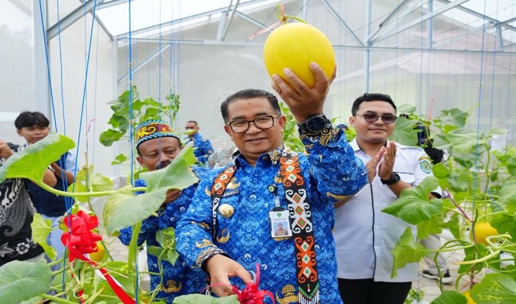 Panen Melon Lagi, Jangan Biarkan Anak-anak Hanya Jadi Penonton