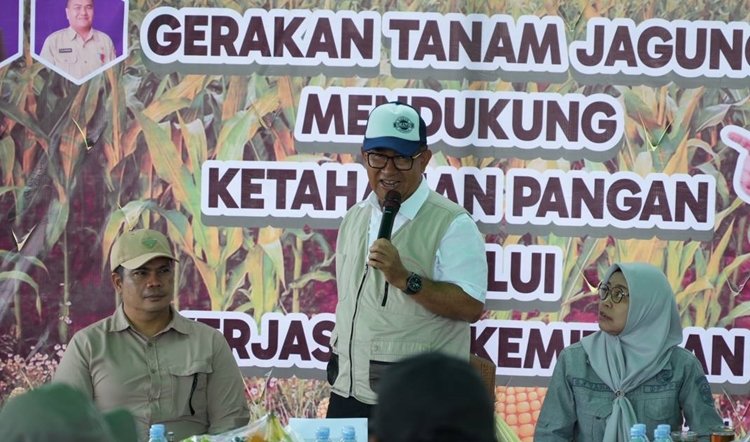 Gerakan Tanam Jagung Dukung Ketahanan Pangan Kaltim