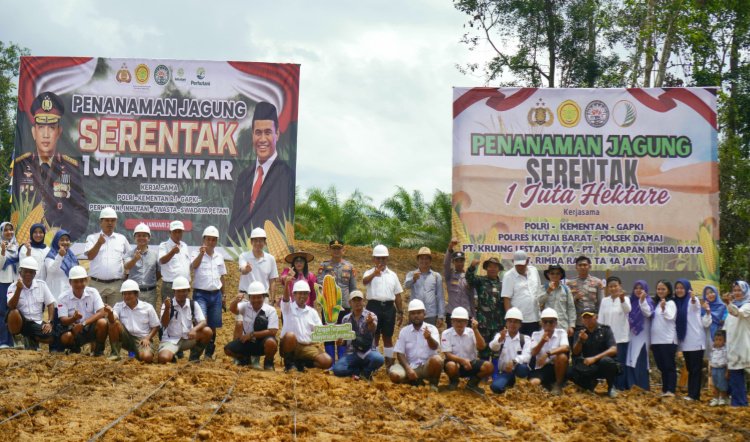 Dukung Ketahanan Pangan Nasional, THA Group Berpartisipasi Tanam Jagung di Lahan Sawit
