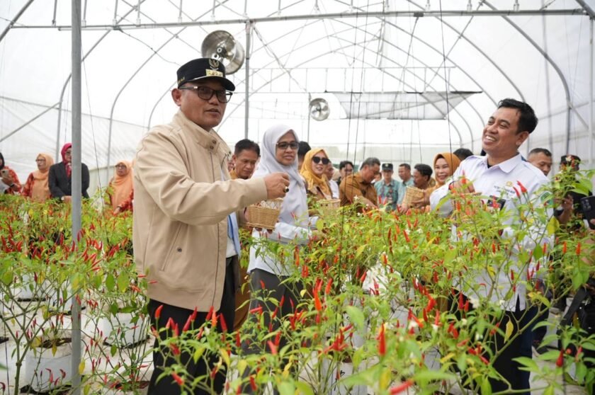 Wagub Seno Resmikan RTH dan Panen Cabai di Politani Samarinda
